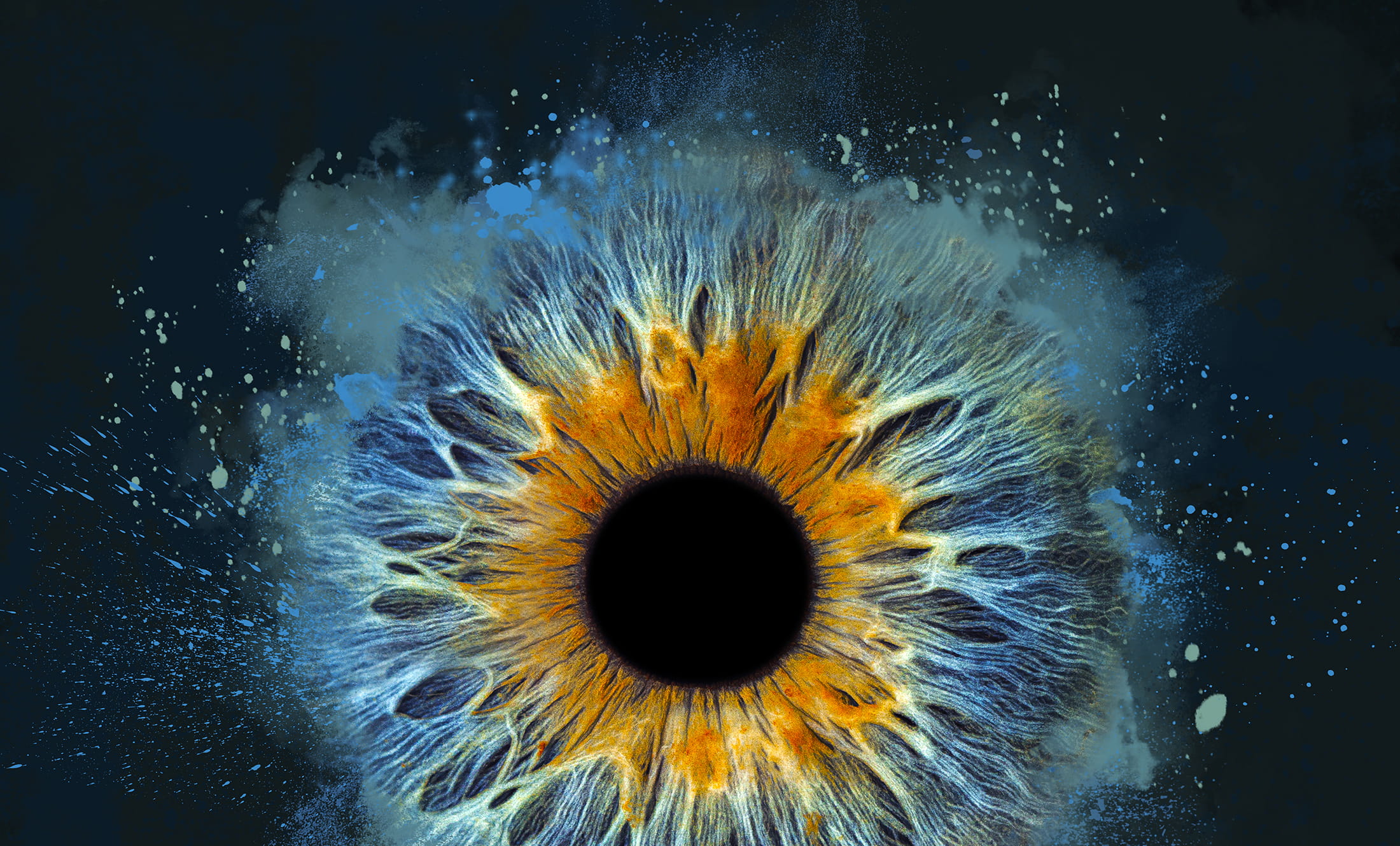 Stunning image of the human iris, taken from the Eyemazy photobox.